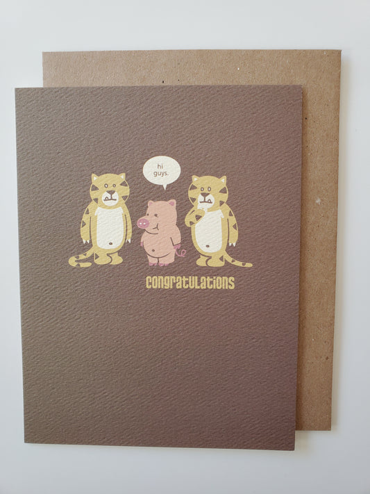 congrats - bold pig